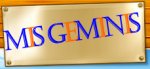 Geminis